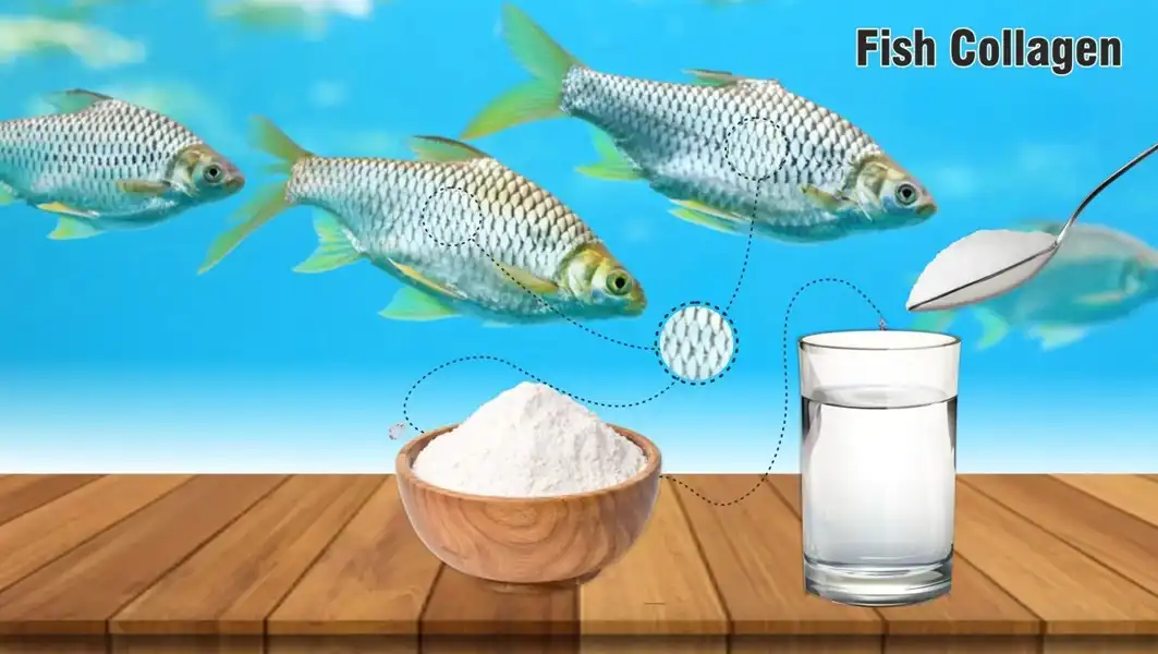 The Benefits of Hydrolyzed Fish Collagen for Skin Health